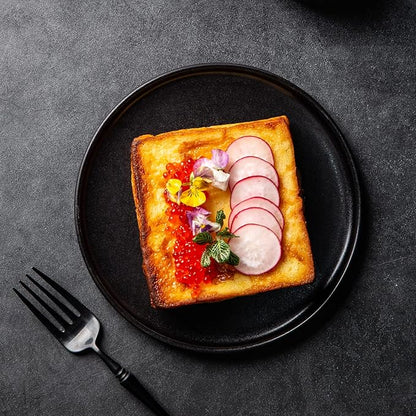 AmorArc Ceramic Dinner Salad Plates Set of 4, 8.5 Inch Reactive Matte Glaze Dish Set, Dessert, Salad, Appetizer, Small Dinner Plate, Microwave, Dishwasher Safe,Scratch Resistant,Reactive Matte Black