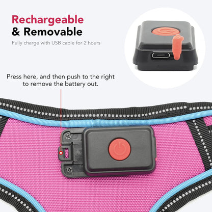 Safety LED Dog Harness - Light Up Dog Vest, No-Pull Dog Harness - Rechargeable Glowing Pet Harness for Night Walking & Camping (Purple+pink Light, Small)