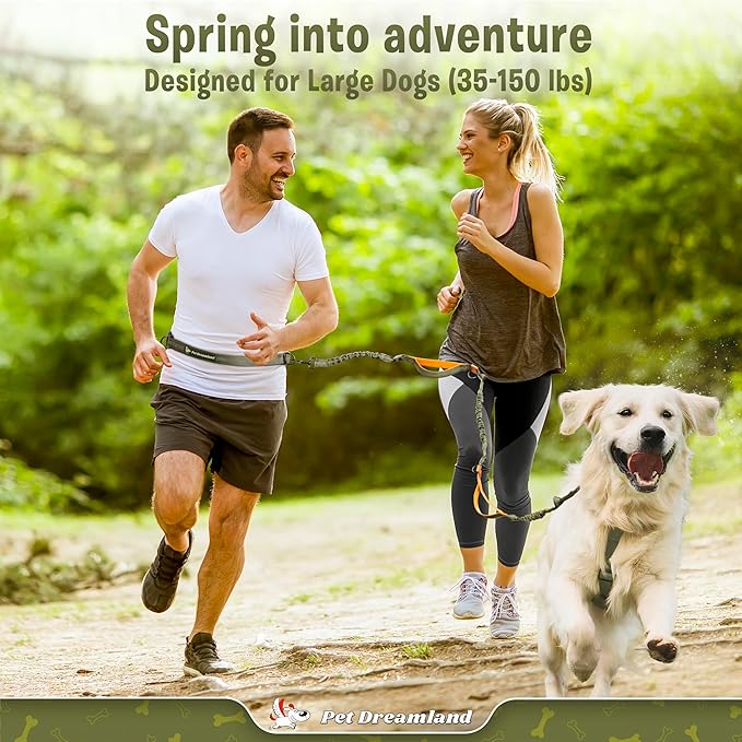 Exquisite Hands-Free Dog Leash for Large Dogs: Ultimate Comfort  Freedom for Running, Walking, Hiking. Premium Quality, Durable  Versatile Dog Waist Leash Belt. Your Dog Will Love This Waist Leash