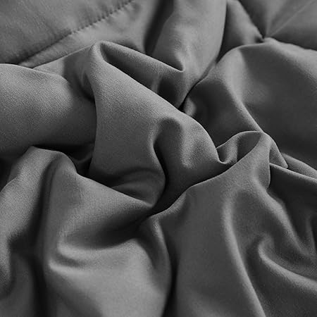 NTBAY Down Alternative All Season Twin (68x90) Bedding Comforter, Microfiber Lightweight and Machine Washable Quilted Bed Duvet Insert with Corner Tabs, Dark Grey AUSNTMFQU-T-SH