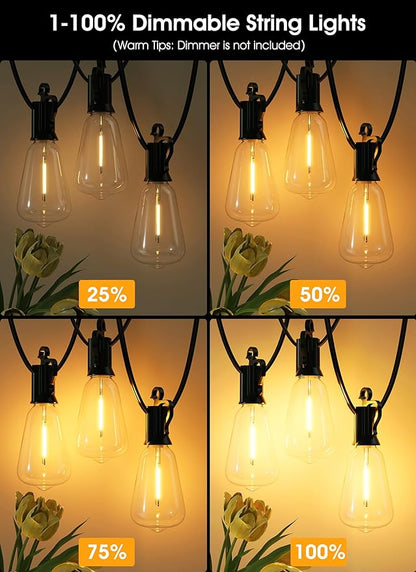 Brightown 100-foot outdoor LED light garland with 52 adjustable vintage Edison shatterproof ST38 bulbs, waterproof outdoor pendant lights for backyard, terrace, garden,