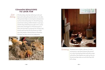 How to Speak Chicken: Why Your Chickens Do What They Do  Say What They Say