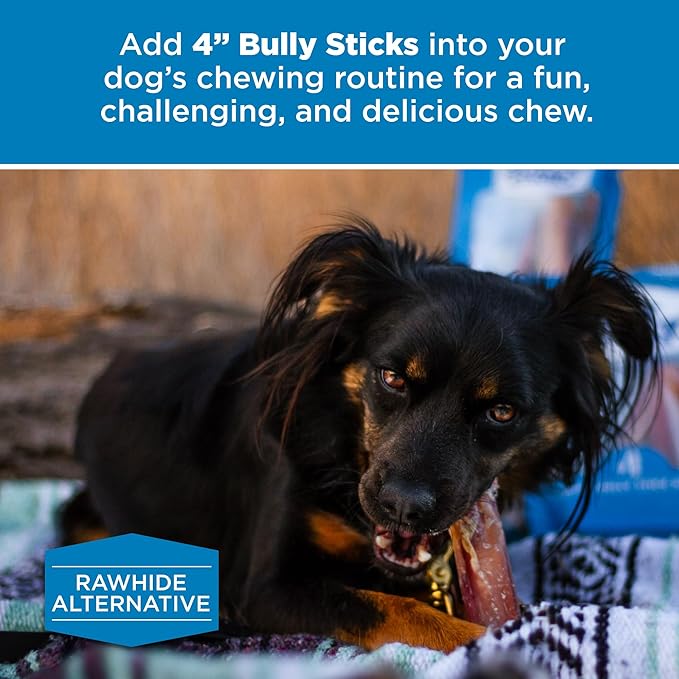 Best Bully Sticks 4 Inch Bully Sticks - 8 oz (Pack of 1) - 100 Natural Grass-Fed, Grain and Rawhide Free, Ideal for Small or Young Canines