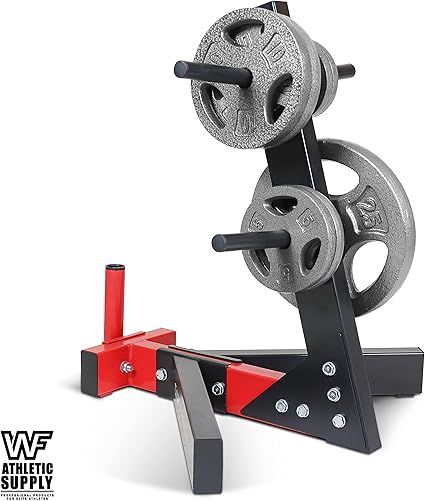 WF Athletic Supply Cast Iron 1-Inch Standard Grip Weight Plate for Strength Training, Charcoal or Gray Color - Pair