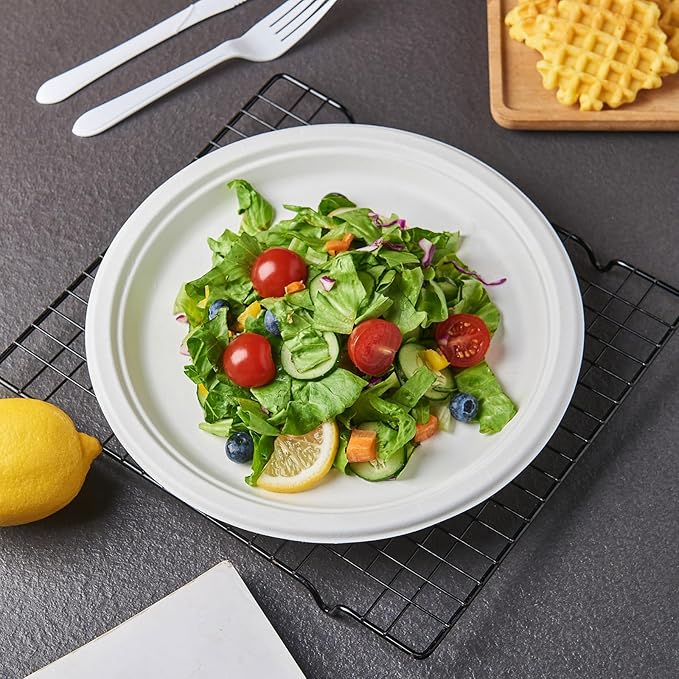 [150-Pack 10 Inch 100% Compostable Paper Plates, Heavy Duty Disposable Party Plates - Eco-Friendly, Biodegradable Sugarcane Bagasse, White Unbleached 10" Dinner Paper Plate