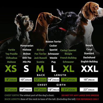 Fitwarm Stirped Sun Dog Raincoat, Waterproof Rain Jacket for Small Dogs Boy Girl, Reflective Puppy Poncho with Harness Hole, Packable, Adjustable, Blue, Yellow, White, S