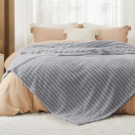 Bedsure Blankets Queen Size for Bed - GentleSoft Cozy Soft Blankets for Women, Cute Large Fleece Throws for Girls, Light Grey, 90x90 Inches