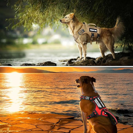 WINSEE Service Dog Patches for Dog Harness (2 pcs, L)
