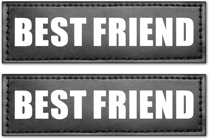 WINSEE Service Dog Patches for Dog Harness (2 pcs, L)