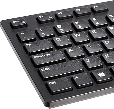 Basics Wired Keyboard, Full-Sized, QWERTY Layout, Black