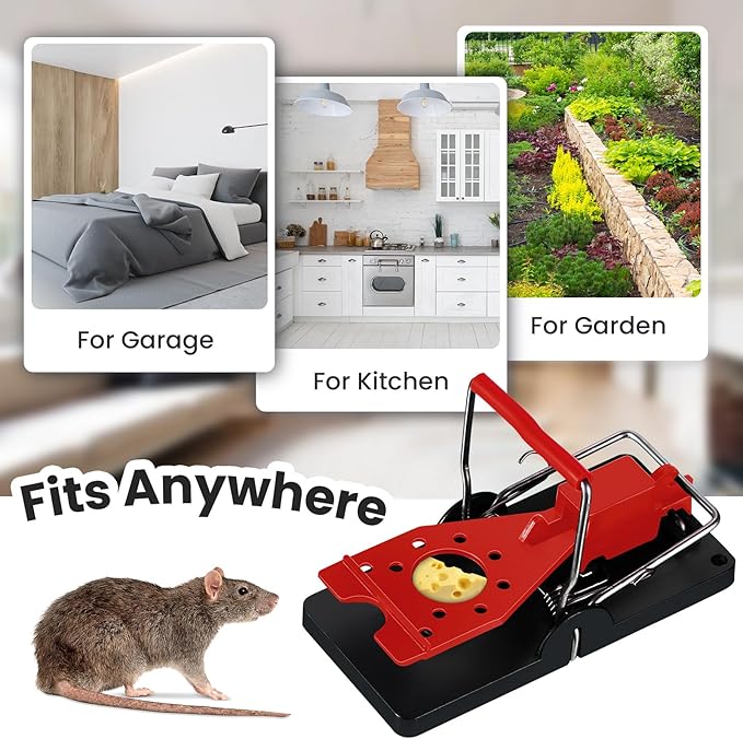 Qualirey 24 Pcs Plastic Mouse Rat Traps House Indoor Quick Effective Safe for Warehouse Garden Kitchen 3.86 x 1.81 x 2.17 Inch (Red)