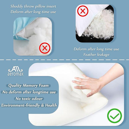 AM AEROMAX 16 16 Throw Pillow Memory Foam Pillow Insert - Square Accent Pillow for Decorative Cushion Bed Couch Sofa - Non-Deforming Over Time