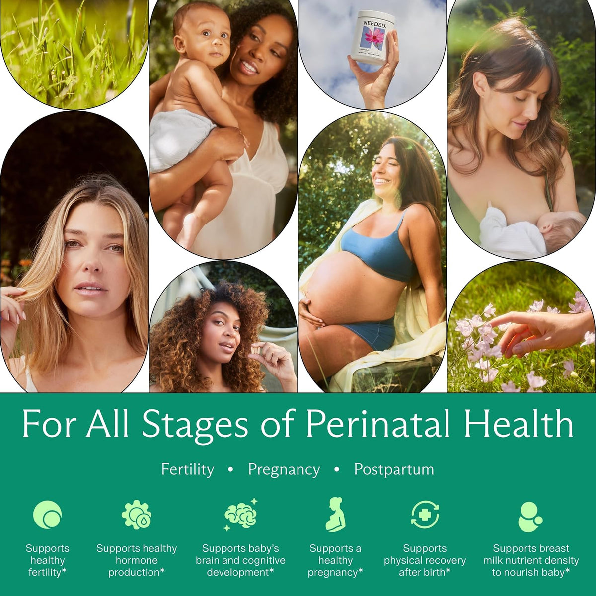 Needed. Multivitamin for Prenatal | Prenatal Multi Essentials Capsule - Pregnancy, Breastfeeding, Postpartum | Expertly-Formulated & Third-Party Tested, | 30-Day Supply