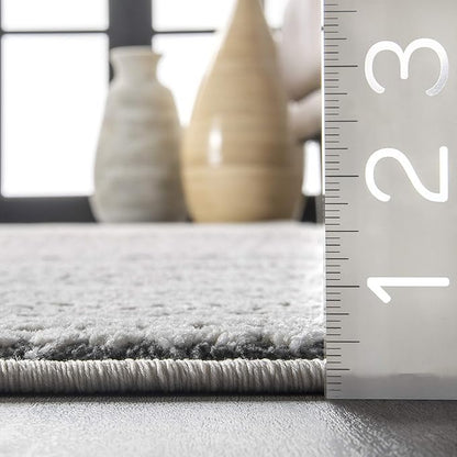 nuLOOM Shea Vintage Runner Rug, 2' x 6', Gray