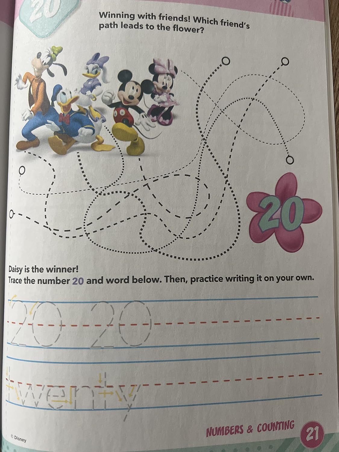 Minnie Mouse Numbers & Counting Learning Workbook