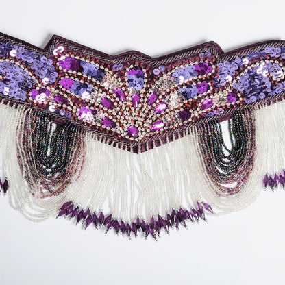 Belly Dance Costume Set for Women Sexy Tribal Belly Dance Bra and Belt Carnival Professional Dancing Suit Outfit