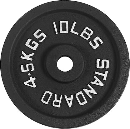 Cast Iron Plate Weight Plate for Strength Training and Weightlifting, 1-Inch Center (Standard), 10LB (Single)