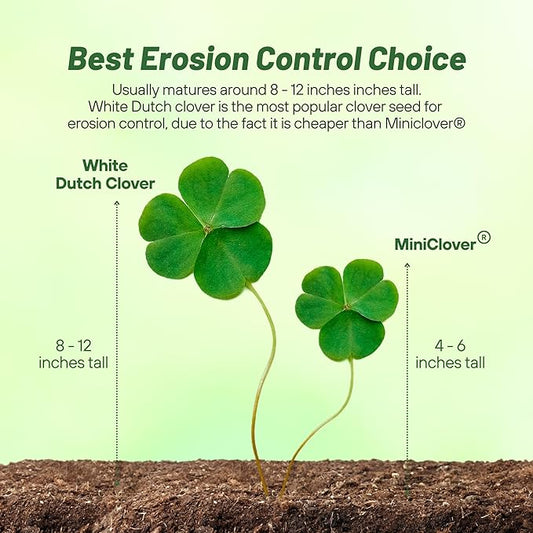 Outsidepride Perennial White Dutch Clover Seed - 5 lbs. Nitrocoated, Inoculated Clover Seeds for Lawn Alternative, Erosion Control, Food Plots, Ground Cover,  Pasture Mixtures in USDA Zones 3-10