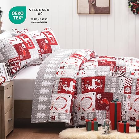 Newspin Christmas Quilt Set Queen Size, Soft Reversible Quilted Christmas Bedspread Coverlet Lightweight FullQueen Quilt Bedding Sets with Xmas Santa Tree Snowman Red Plaid Patchwork Pattern