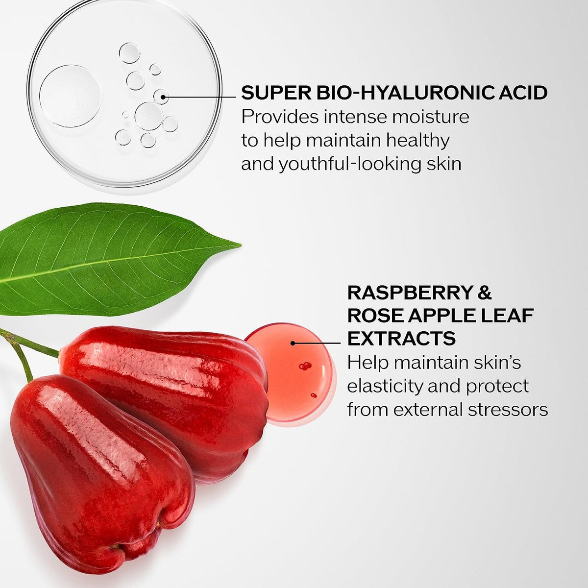 Shiseido Bio-Performance Advanced Super Revitalizing Cream - Anti-Aging Moisturizer - Reduces Appearance of Fine Lines & Wrinkles, Provides Long-Lasting Hydration