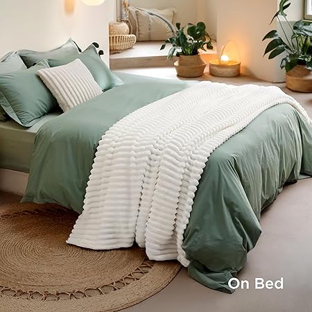 Bedsure Blankets Queen Size for Bed - GentleSoft Cozy Soft Blankets for Women, Cute Large Fleece Throws for Girls, Off White, 90x90 Inches
