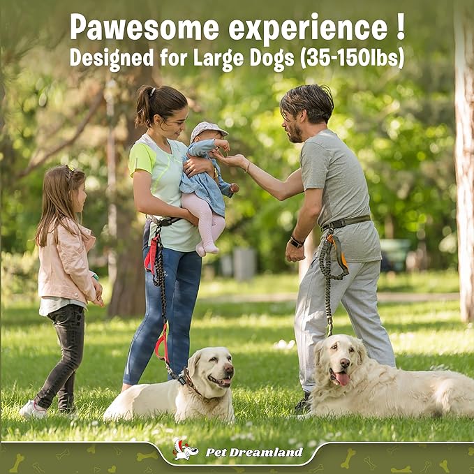 Exquisite Hands-Free Dog Leash for Large Dogs: Ultimate Comfort  Freedom for Running, Walking, Hiking. Premium Quality, Durable  Versatile Dog Waist Leash Belt. Your Dog Will Love This Waist Leash