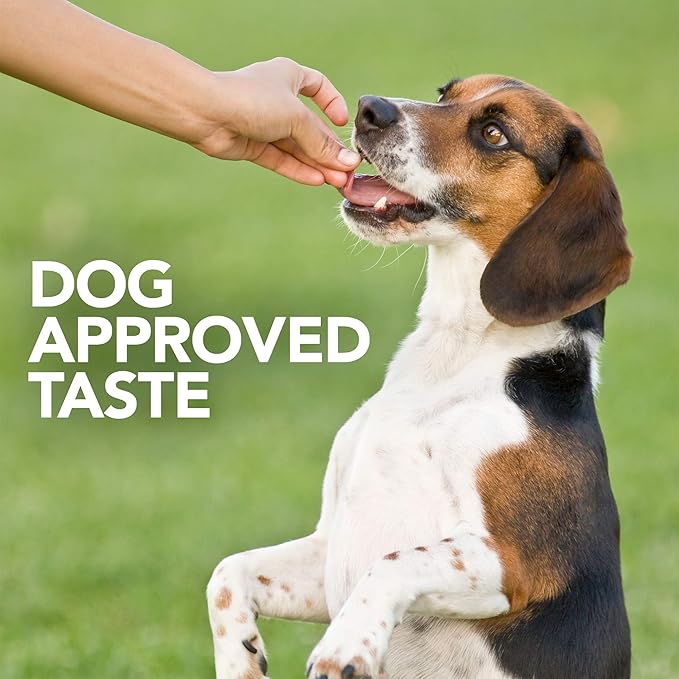 Vets Best Probiotic Soft Chews for Dogs  Daily Digestive Support Supplement with Prebiotics for Gut Health  Natural Dog Chews for Healthy Digestion and Immunity  90 Count
