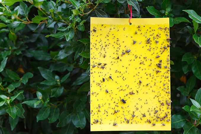 30Pcs Dual-Sided Yellow Sticky Traps for Plant Gnats - Waterproof Fly Paper Outdoor Indoor for Fungus Gnat Trap, Fly Tape Outdoor for Whiteflies, Aphids, Leafminers, Fruit Sticky Traps