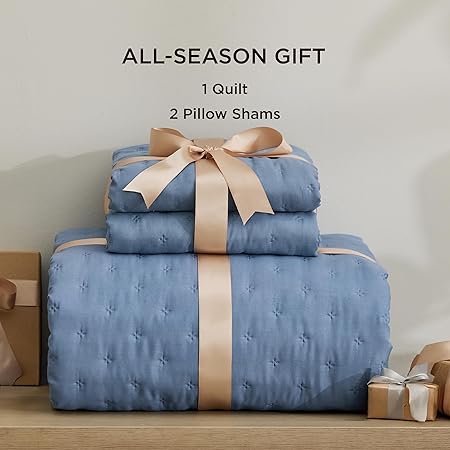 Bedsure Quilts Queen Size - Ultra Soft Queen Quilt Bedding Set for Modern  Coastal Bedrooms, Lightweight All-Season Comforter with 2 Pillow Shams, Mineral Blue Summer Bedspread Coverlet 90x96 Inch