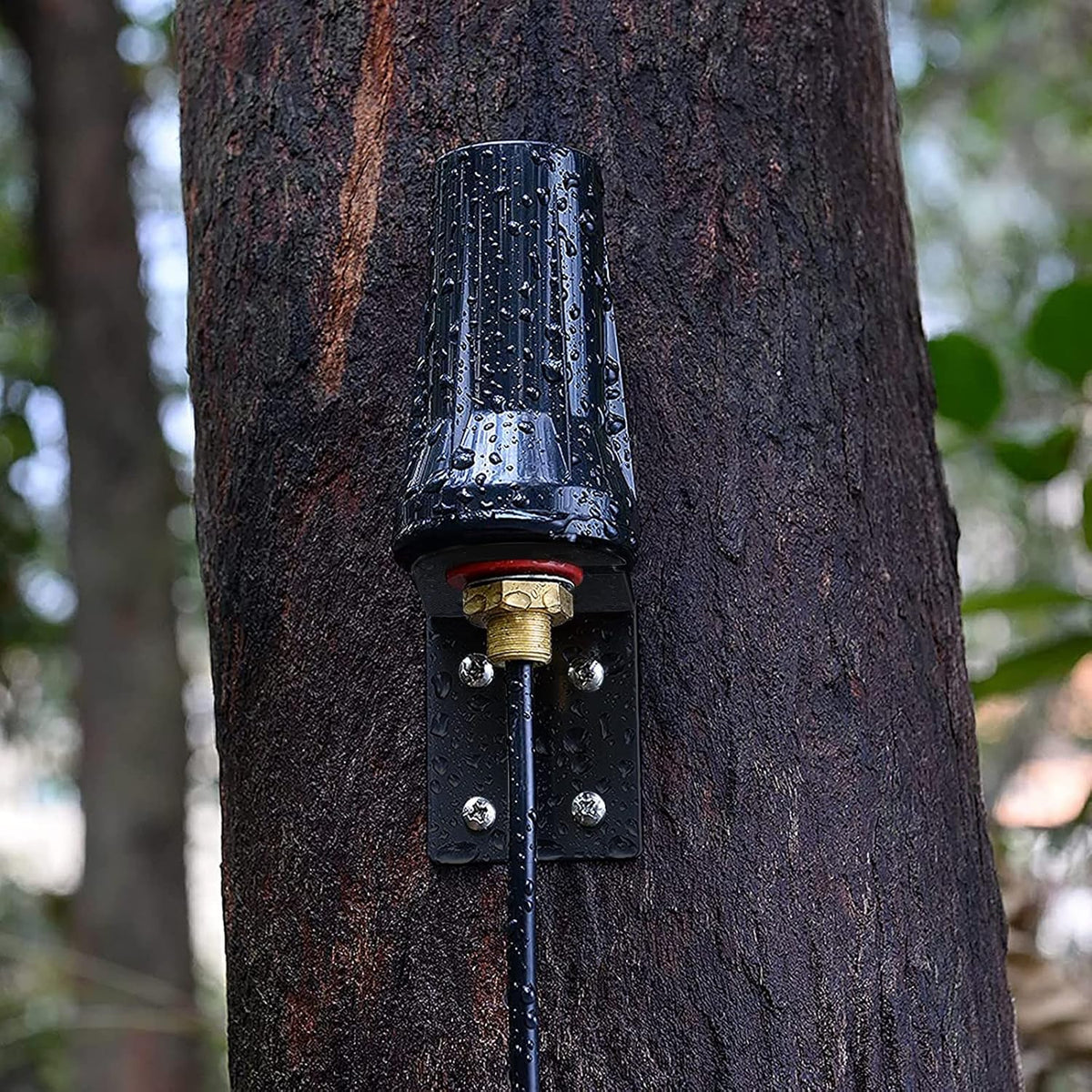 Bingfu 4G LTE Cellular 5dBi SMA Male Antenna - 10ft Low Loss 195 Coaxial Cable Compatible with Spypoint Flex G-36 LM2 Link Micro Covert Spartan Stealth Cam Muddy Trail Camera Router Gateway