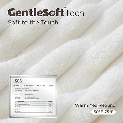 Bedsure Blankets Queen Size for Bed - GentleSoft Cozy Soft Blankets for Women, Cute Large Fleece Throws for Girls, Off White, 90x90 Inches