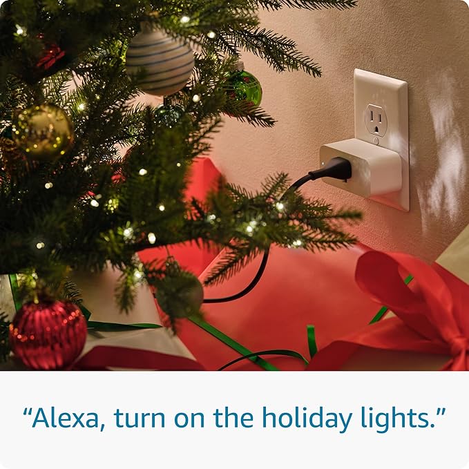 Smart Plug  Works with Alexa  Simple setup, endless possibilities