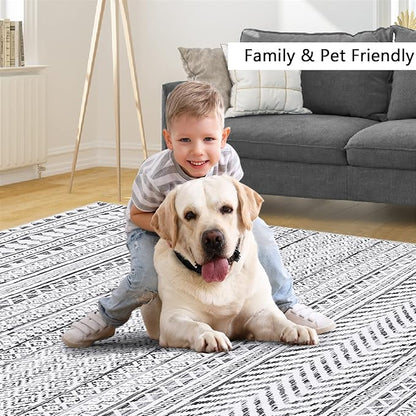 5x7 Machine Washable Area Rug Boho Geometric Area Rug Farmhouse Non-Slip Stain Resistant Modern Rug for Living Room Home Office, 5' x 7'