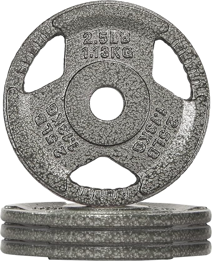 Fitvids Cast Iron 1-Inch Standard Weight Plate for Strength Training & Weightlifting, Multiple Weights Available