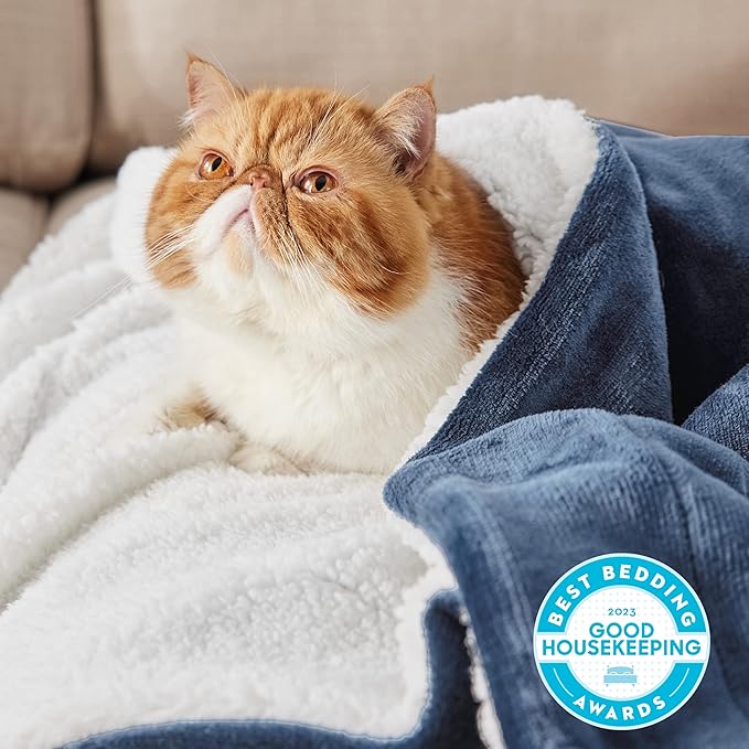 Bedsure Sherpa Fleece Blankets Queen Size for Bed - Thick and Warm, Soft Fuzzy Plush Queen Blanket for Winter, Slate Blue, 90x90 Inches