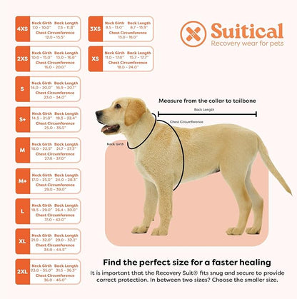 Suit for Dogs - Post-Surgery Suit with Hold-Up System - Breathable Cone-Free Option for Spay, Neuter, Skin Issues - XS Camouflage - Neck to Tail 15.7-17. Inches, 18-24 Inches Chest