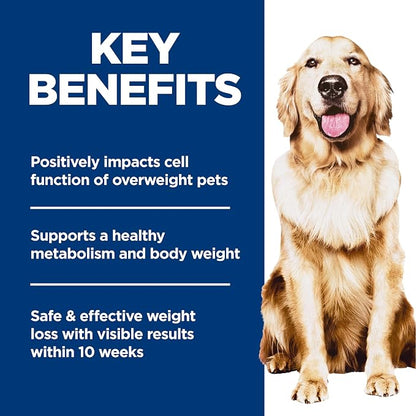 Hill's Science Diet Adult Perfect Weight Dry Dog Food