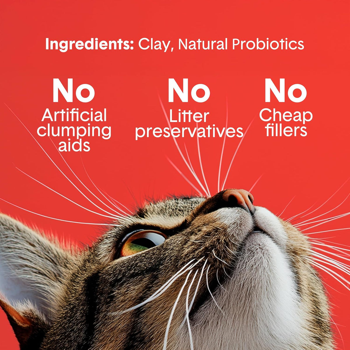 Boxie Extra Strength Clumping Cat Litter Multi Cat 35 Day Odor Control 16lb Probiotic technology works continuously at the source; Hard Flat Top clumps for fast scooping and less waste