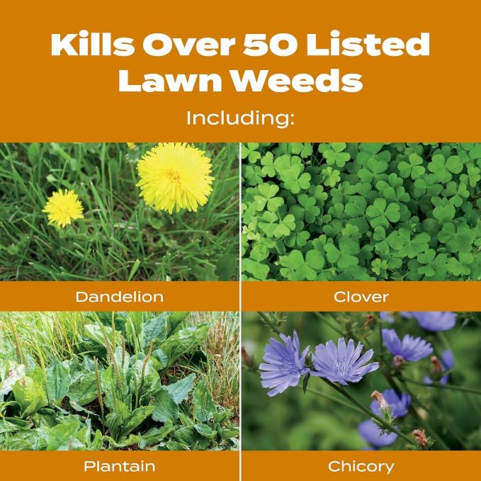 Scotts Turf Builder WinterGuard Fall Weed & Feed 3, 5,000 sq. ft.