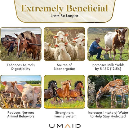 UMAID Himalayan Salt Lick 6 lbs On Rope for Horse, Deer, Goat, and Livestock Animals - Himalayan Salt Block 1 Pack