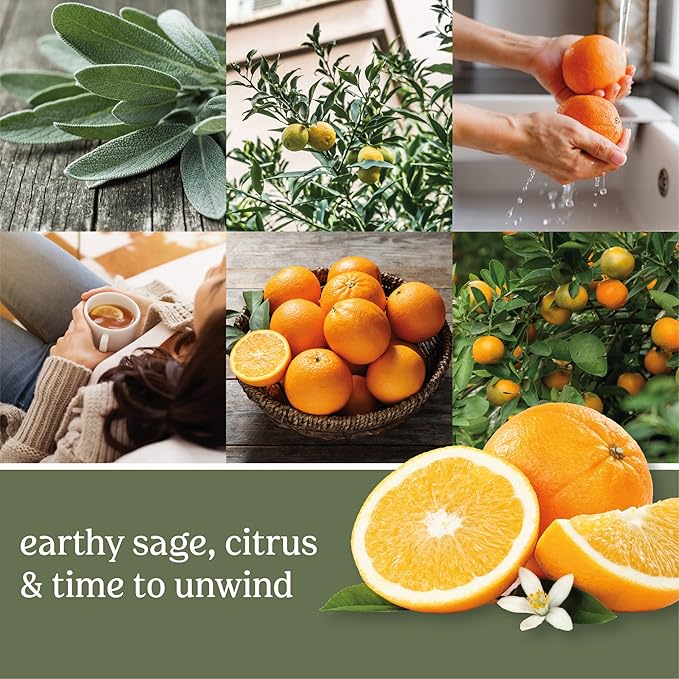 Yankee Candle Fragrance Spheres, Sage Citrus