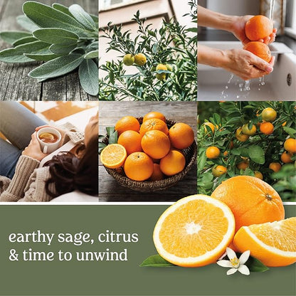 Yankee Candle Fragrance Spheres, Sage Citrus