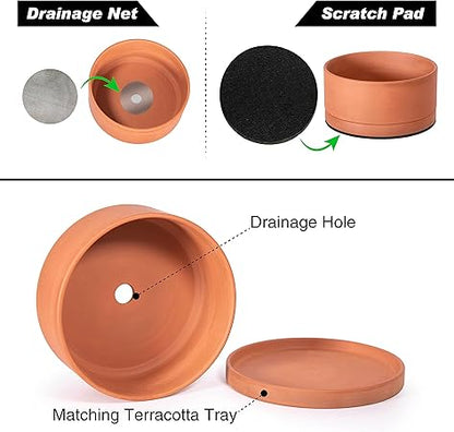 D'vine Dev 10 Inch Succulent Terracotta Shallow Pot with Drainage Hole and Saucer, Round Cylinder Planter Pot for Plant Flower, 40-Y-B-0