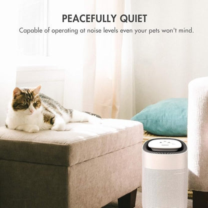 Tenergy Sorbi 1000ml Air Dehumidifier wPurifying Function, True HEPA Filter, Auto Shutoff, Touch Control Adjustable Air Speed, Ultra-Quiet, Ideal for Closets  Bathrooms