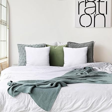 Utopia Bedding Throw Pillows Insert (Pack of 2, White) - 20 x 20 Inches Bed and Couch Pillows - Indoor Decorative Pillow