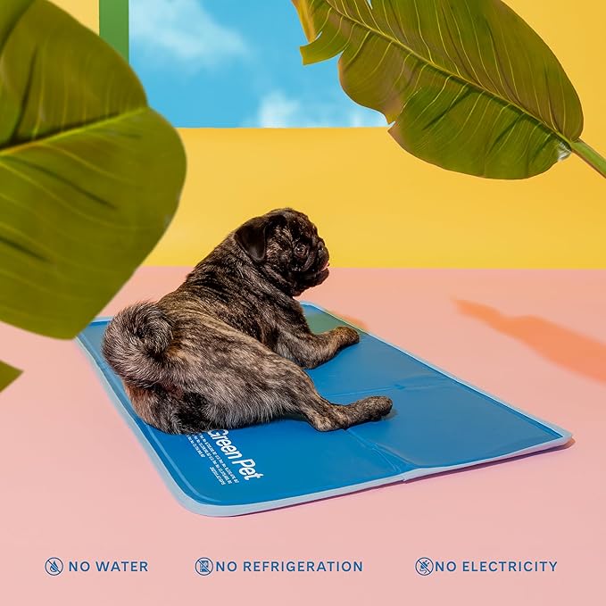 The Green Pet Shop Cool Pet Pad - Medium, Blue - Self-Cooling, Pressure Activated Mat for Dogs  Cats from 21-45 lbs - Non-Toxic Gel, No Water Needed