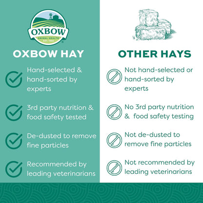 Oxbow Orchard Hay, Rabbit & Guinea Pig Hay, Hand-Sorted, De-Dusted, 40 oz Hand-Sorted, De-Dusted, Oxbow Orchard Grass Hay, Bunny Hay For Rabbits, Guinea Pigs, Bunnies and Chinchillas, Made in USA