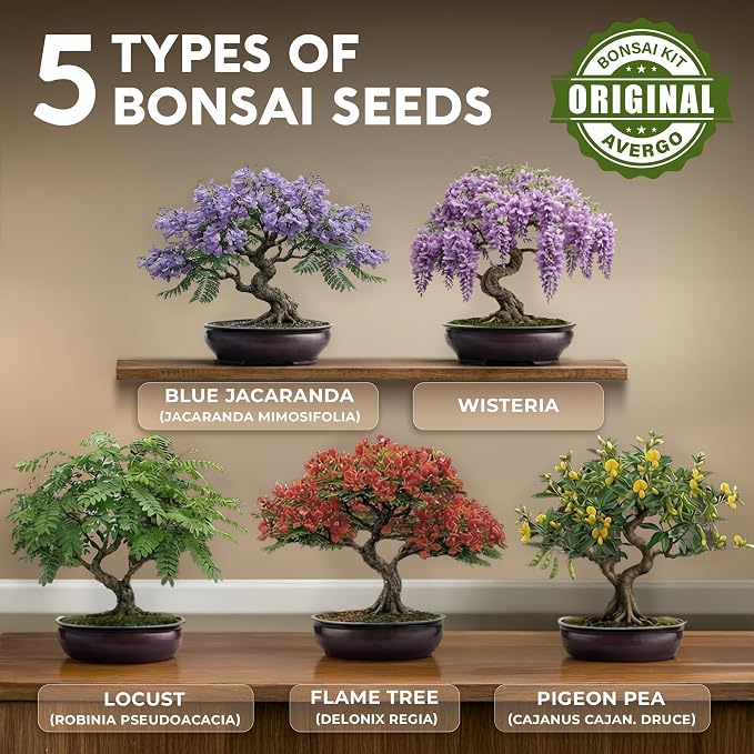 Bonsai Tree Kit Classic - 5X Unique Japanese Bonzai Trees | Complete Indoor Bonsai Starter Kits for Growing Trees – DIY Gardening Gifts for Mother, Women & Men