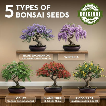 Bonsai Tree Kit Classic - 5X Unique Japanese Bonzai Trees | Complete Indoor Bonsai Starter Kits for Growing Trees – DIY Gardening Gifts for Mother, Women & Men