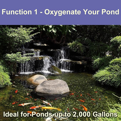AquaMiracle Koi Pond Aerator for Pond up to 1000  2000 Gallons, All-in-One Pond Air Pump Aeration Kit with Air Stones Airline Tubing Check Valves